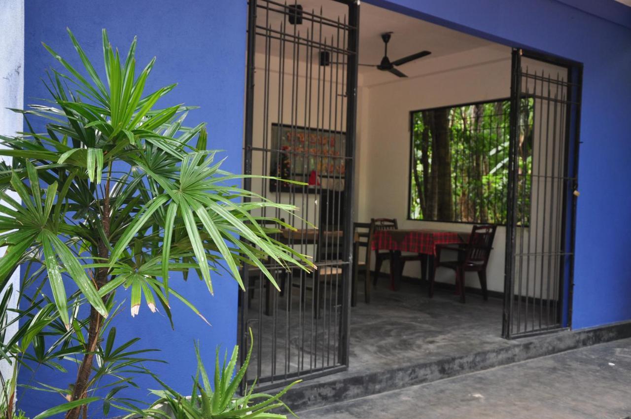 Jungle Fence Bed and Breakfast Μπεντότα Εξωτερικό φωτογραφία
