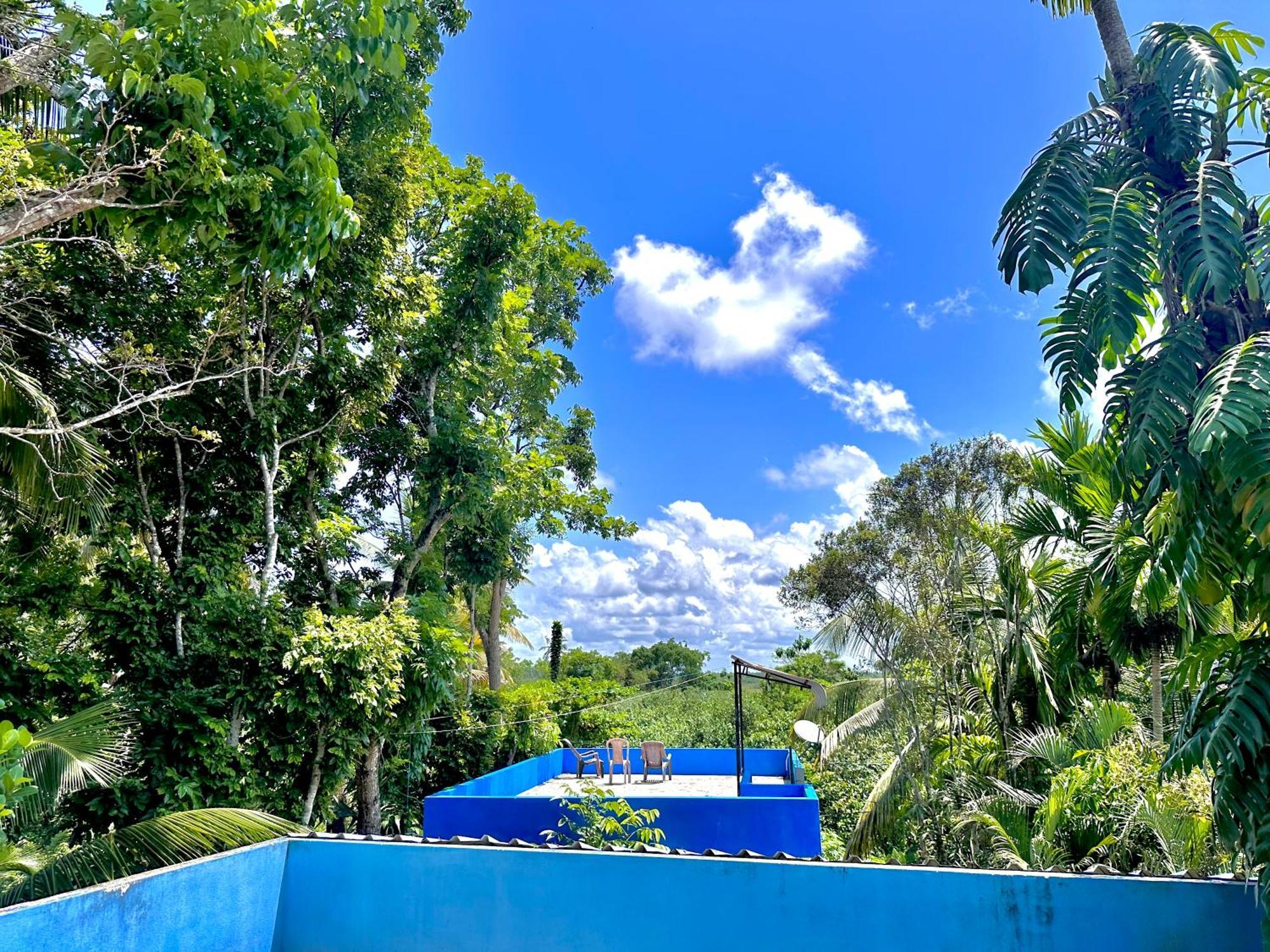 Jungle Fence Bed and Breakfast Μπεντότα Εξωτερικό φωτογραφία